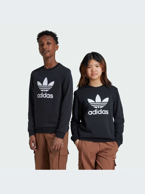Худи и свитшоты Adidas модель IY7435-KZ Фото