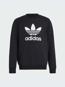 Худи и свитшоты Adidas модель IY7435-KZ Фото