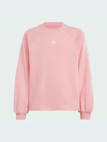 Худи и свитшоты Adidas модель IV7044-KZ Фото