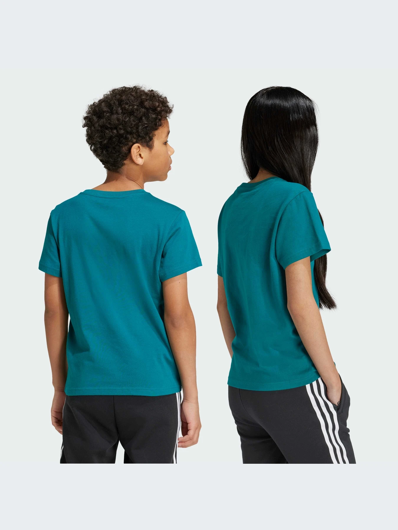 Футболки и поло Adidas Adicolor модель IY7420-KZ Футболки и поло Adidas Adicolor модель IY7420-KZ Фото