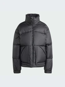 Куртки и дубленки Adidas модель IV9776-KZ Фото