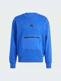 Худи и свитшоты Adidas модель IY1522-KZ Фото