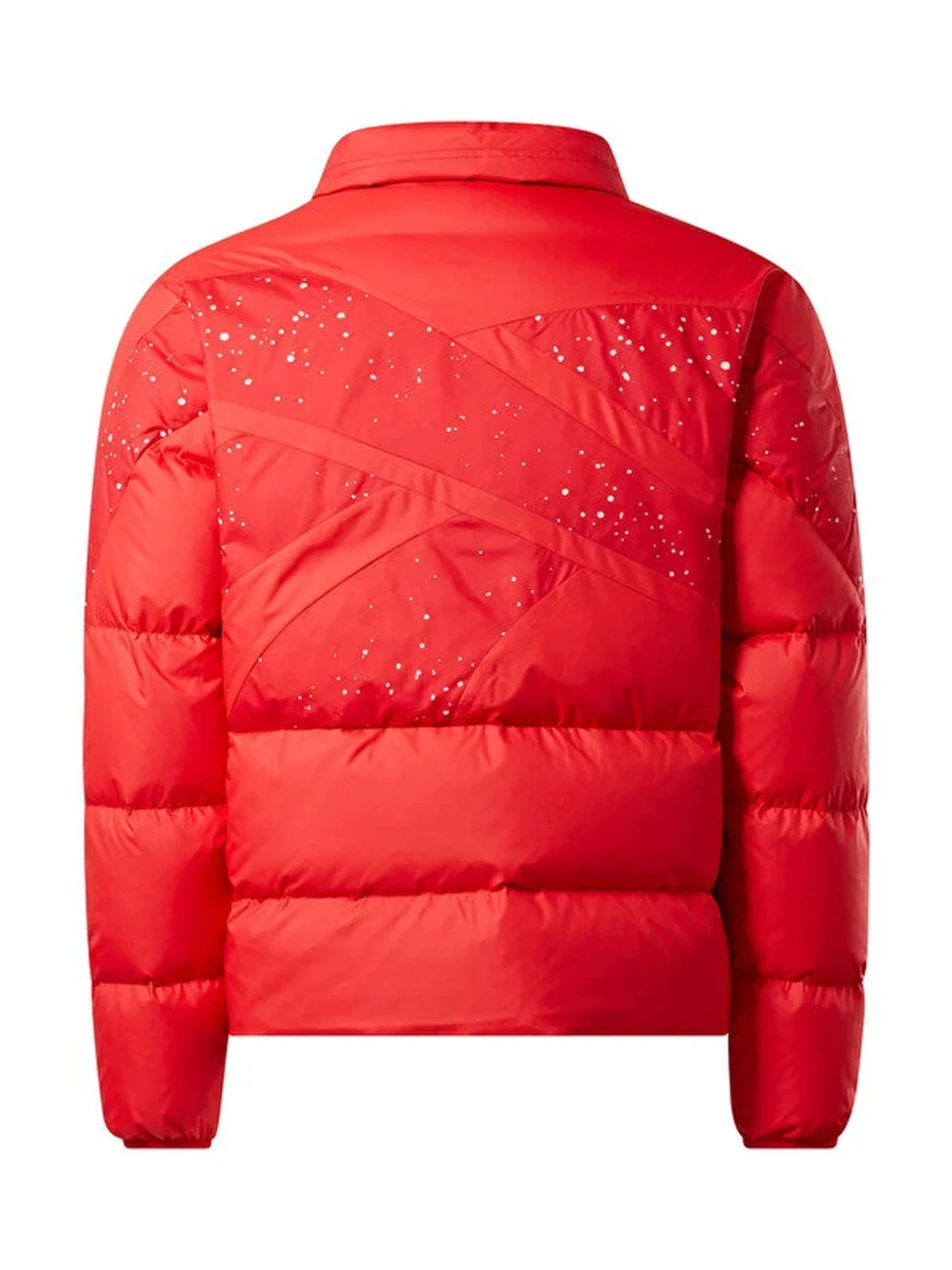 Куртки и дубленки Reebok модель HH8367 Фото