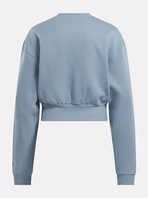 Худи и свитшоты Reebok модель IU3691 Фото