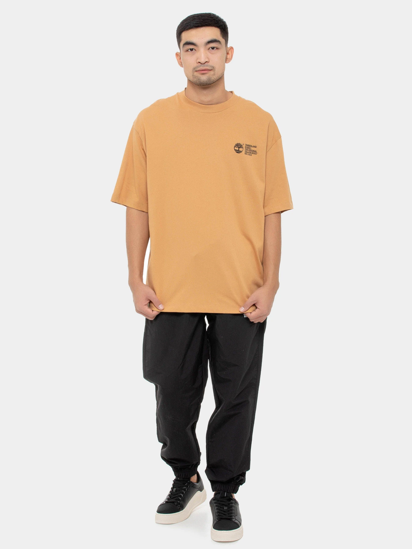 Футболки и поло Timberland модель TB0A6G8YEH3 Футболки и поло Timberland модель TB0A6G8YEH3 Фото