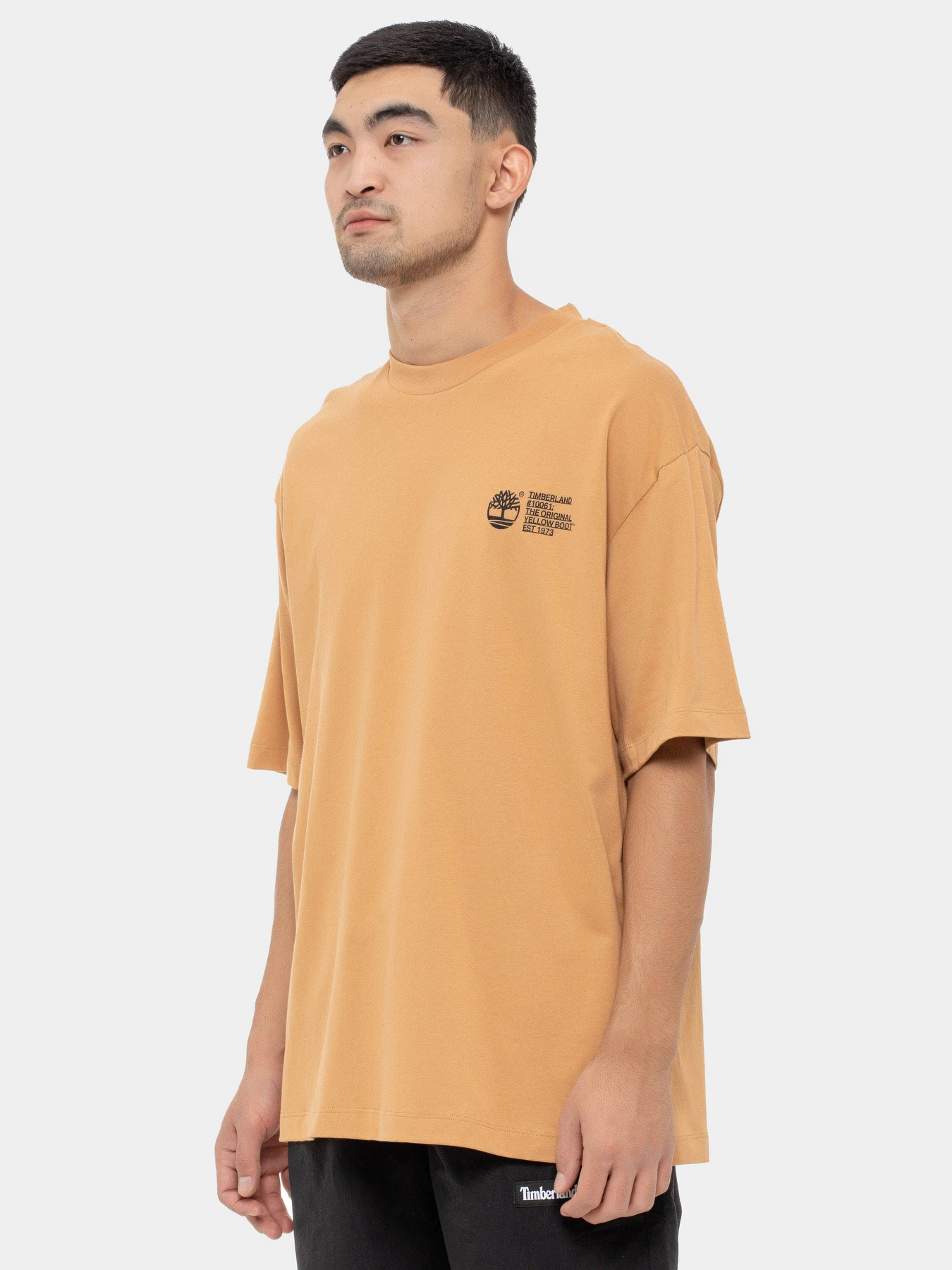 Футболки и поло Timberland модель TB0A6G8YEH3 Футболки и поло Timberland модель TB0A6G8YEH3 Фото