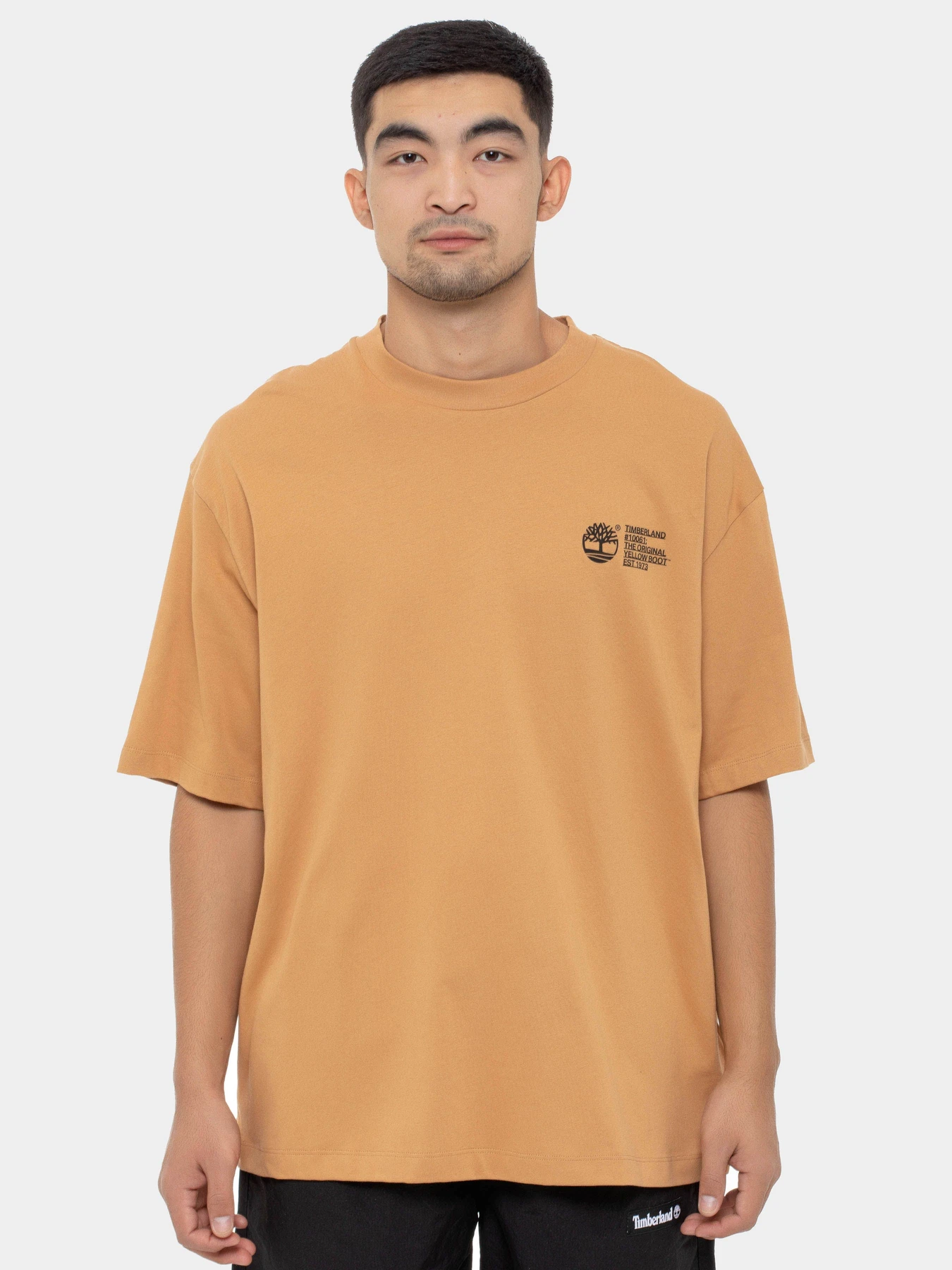 Футболки и поло Timberland модель TB0A6G8YEH3 Футболки и поло Timberland модель TB0A6G8YEH3 Фото