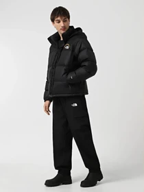Куртки и дубленки The North Face модель NF0A3C8DKX71 Фото