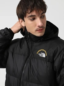 Куртки и дубленки The North Face модель NF0A3C8DKX71 Фото
