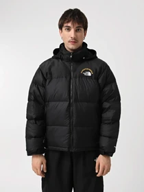 Куртки и дубленки The North Face модель NF0A3C8DKX71 Фото