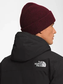 Куртки и дубленки The North Face модель NF0A5GD9JK31 Фото