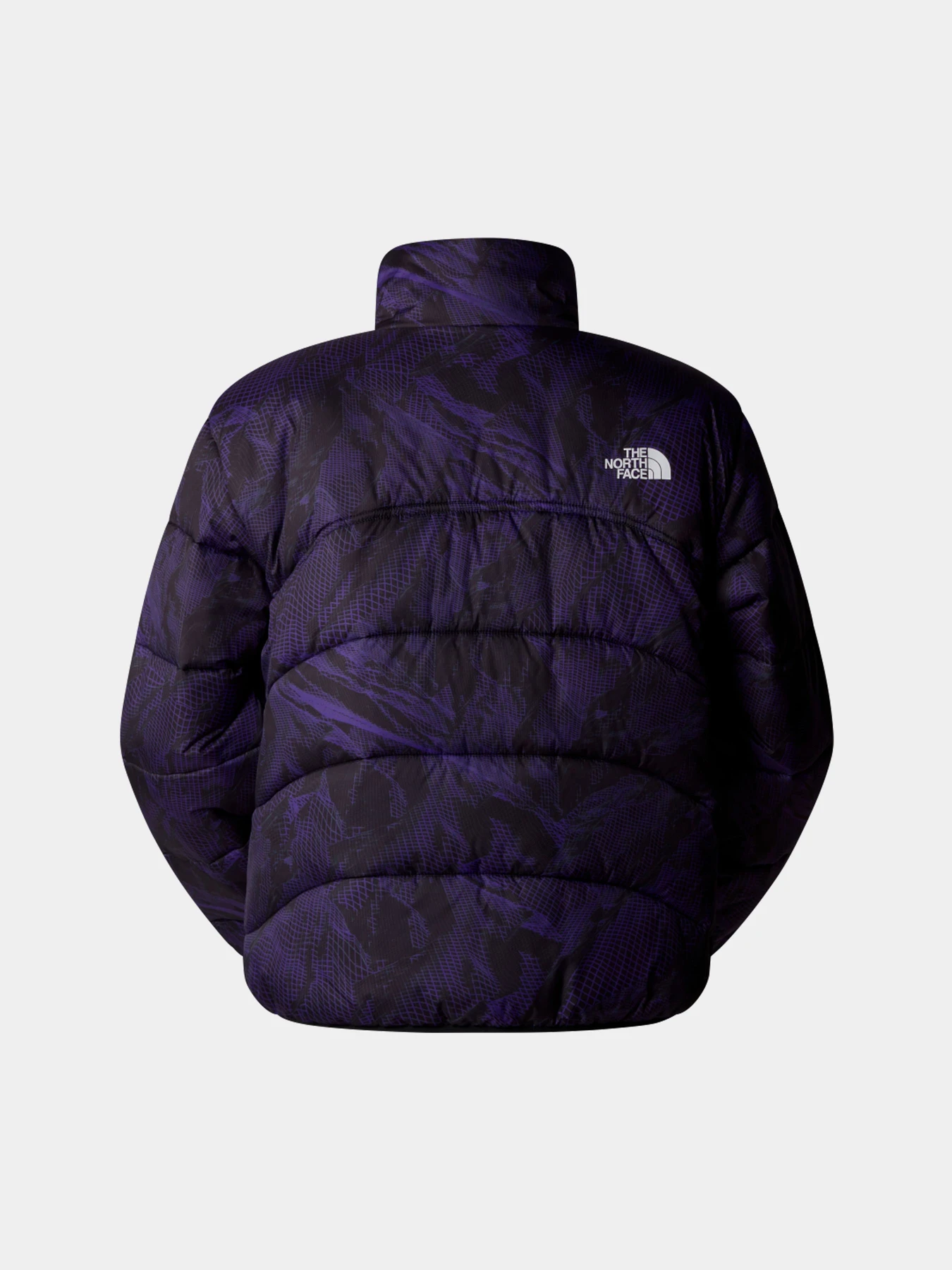 Куртки и дубленки The North Face модель NF0A7URF3VI1 Куртки и дубленки The North Face модель NF0A7URF3VI1 Фото