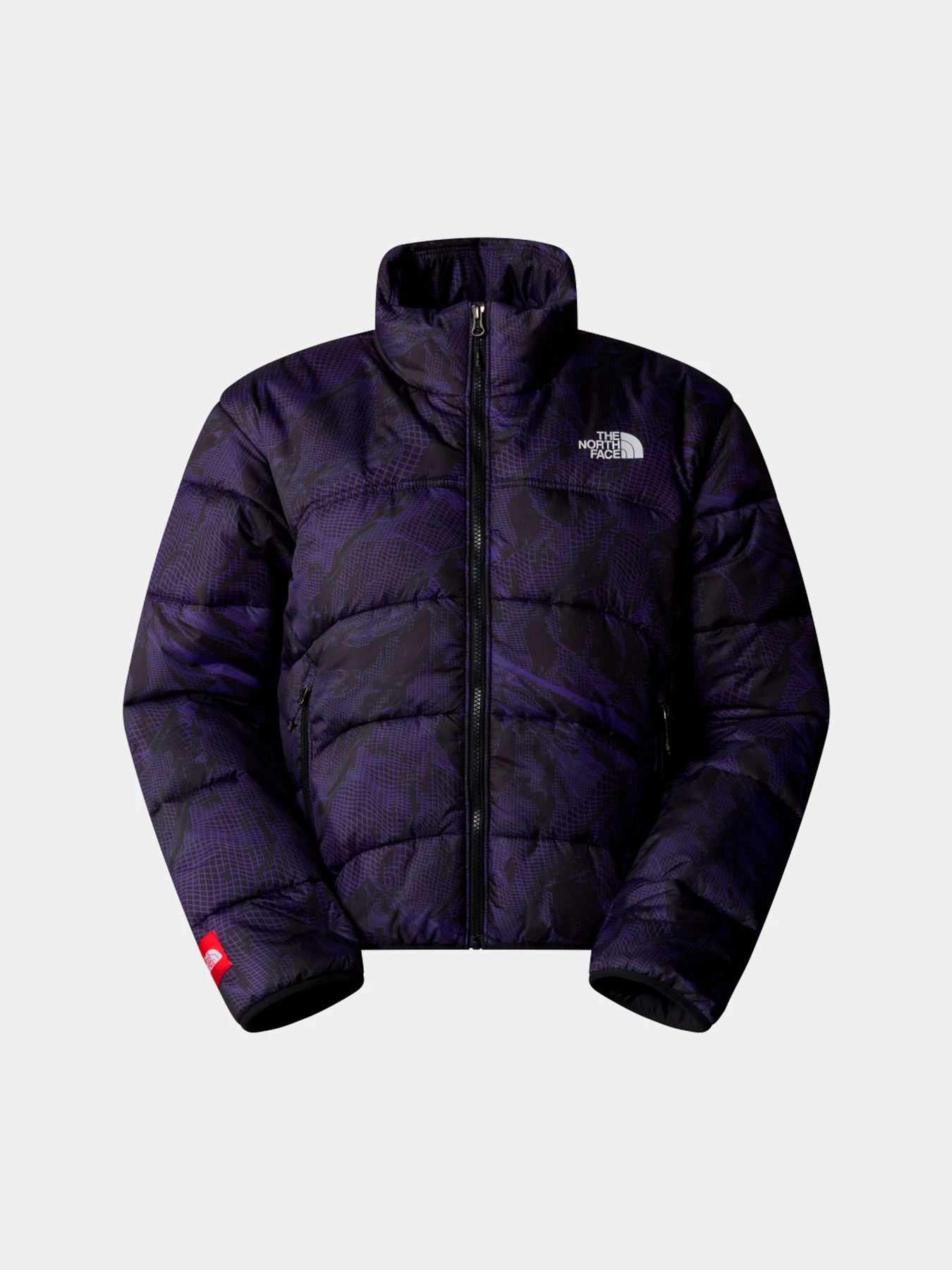 Куртки и дубленки The North Face модель NF0A7URF3VI1 Куртки и дубленки The North Face модель NF0A7URF3VI1 Фото