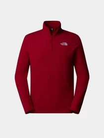 Худи и свитшоты The North Face модель NF0A855W3RO1 Фото