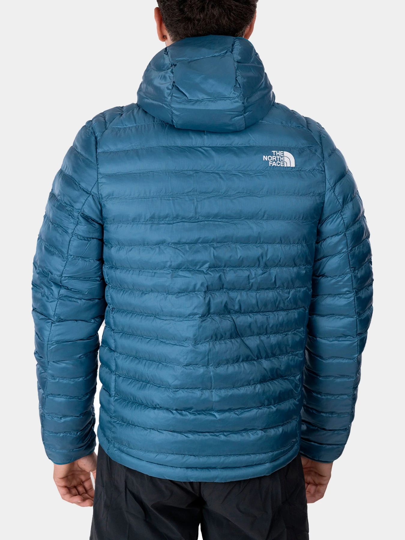 Куртки и дубленки The North Face модель NF0A85A3Q311 Куртки и дубленки The North Face модель NF0A85A3Q311 Фото