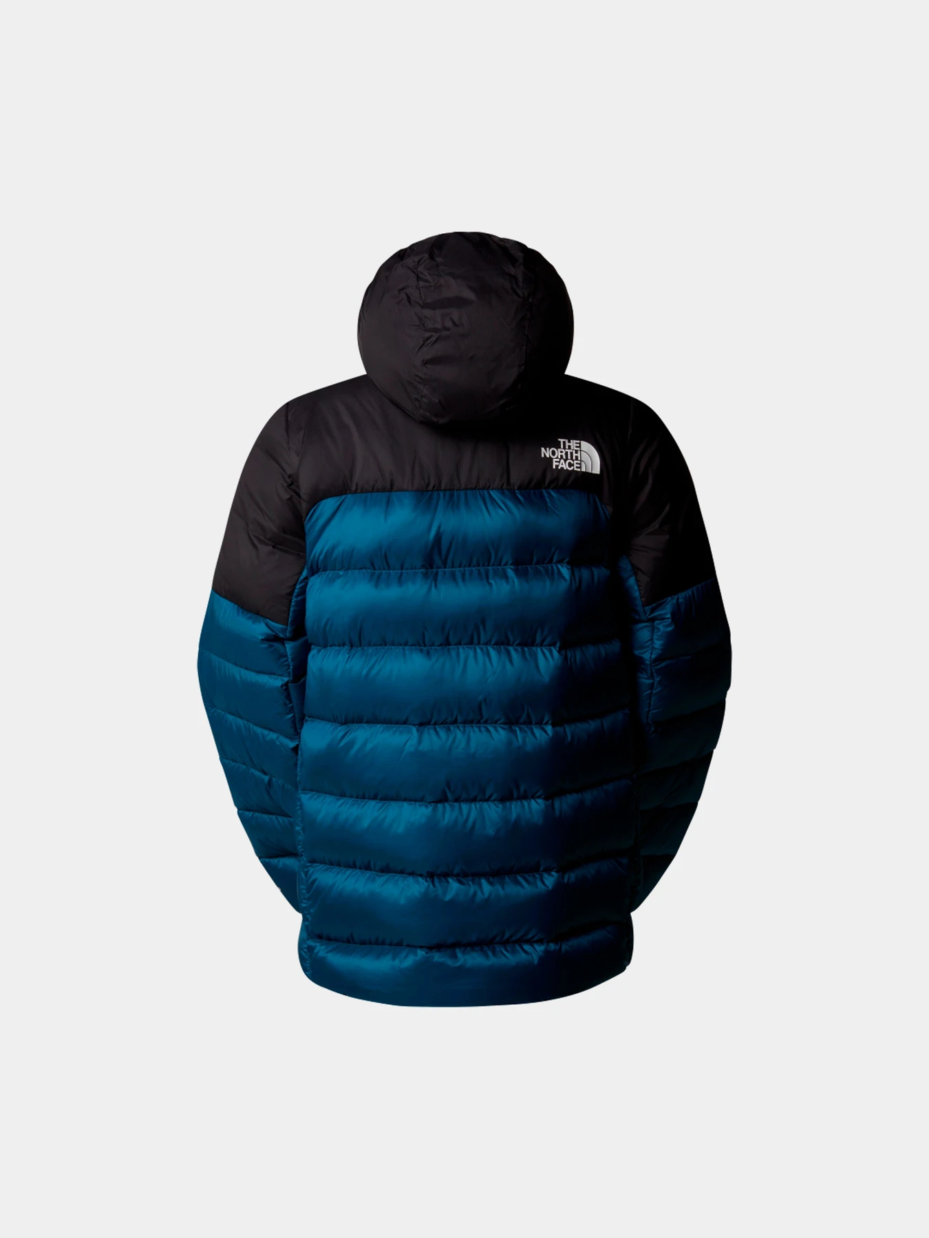 Куртки и дубленки The North Face модель NF0A88SJ1NO1 Куртки и дубленки The North Face модель NF0A88SJ1NO1 Фото