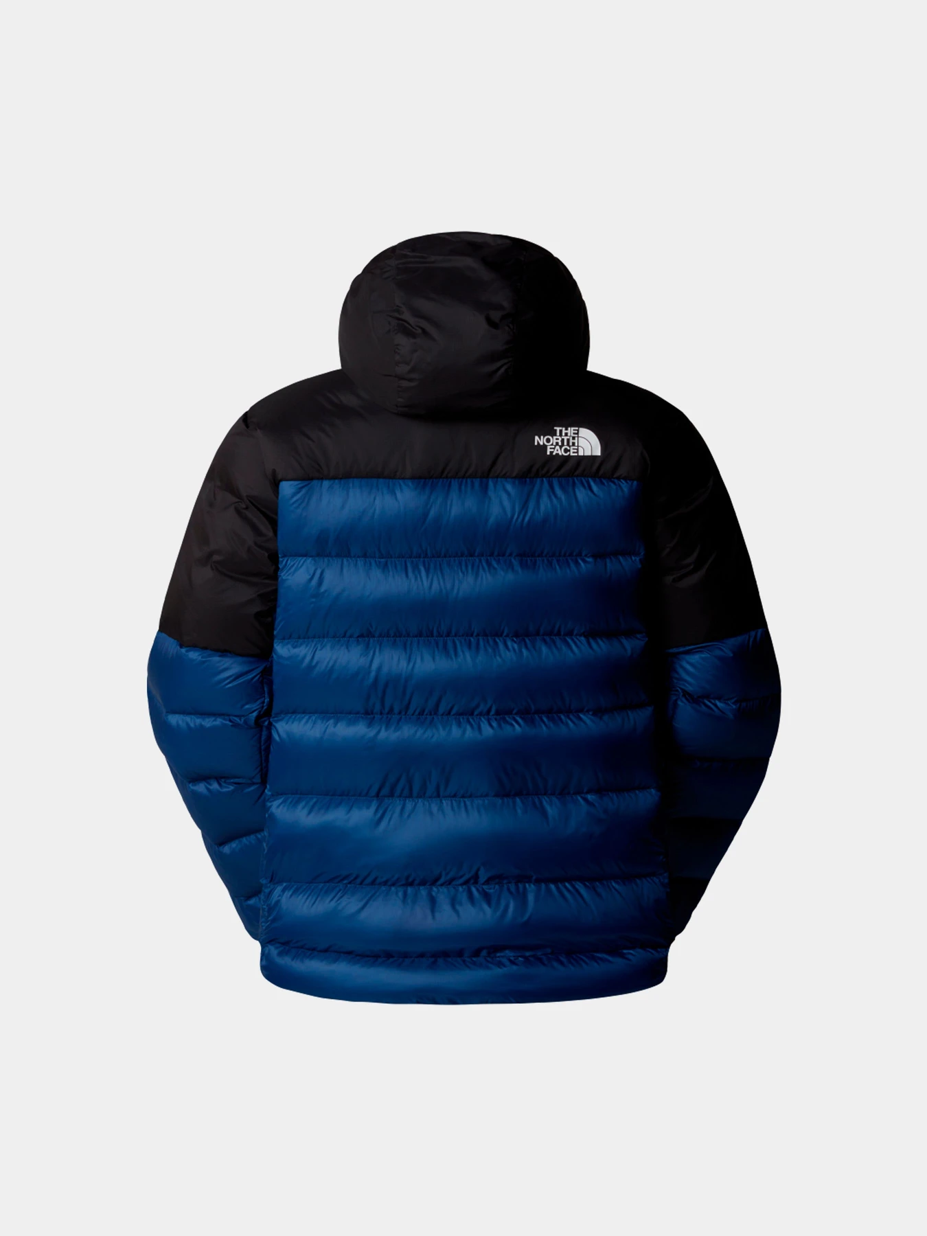 Куртки и дубленки The North Face модель NF0A88SKMPF1 Куртки и дубленки The North Face модель NF0A88SKMPF1 Фото