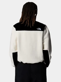 Худи и свитшоты The North Face модель NF0A88YRBIX1 Фото
