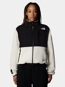Худи и свитшоты The North Face модель NF0A88YRBIX1 Фото