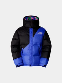 Куртки и дубленки The North Face модель NF0A89GDTMI1 Фото