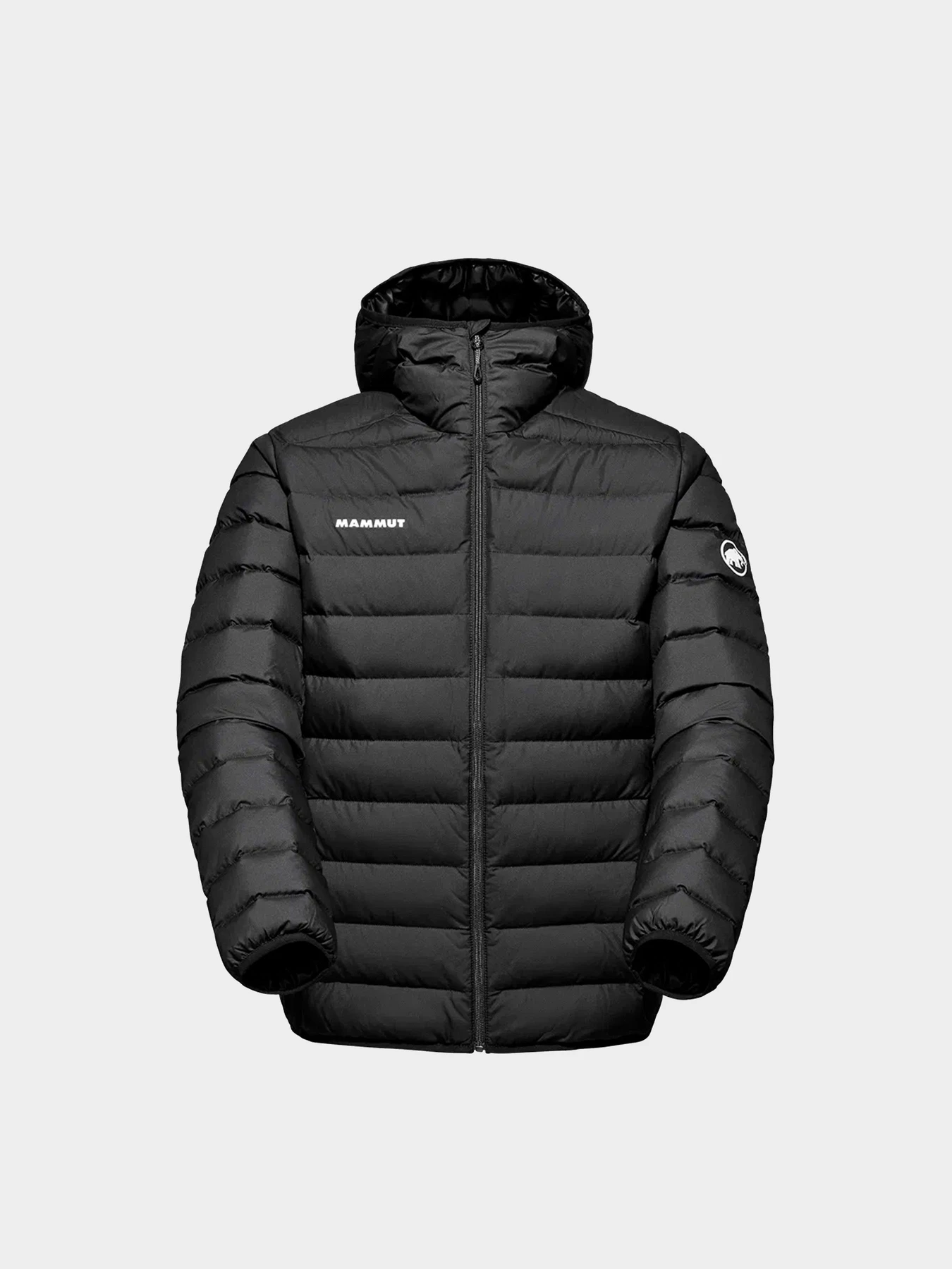 Куртки и дубленки Mammut модель 1013-03370-0001 Куртки и дубленки Mammut модель 1013-03370-0001 Фото