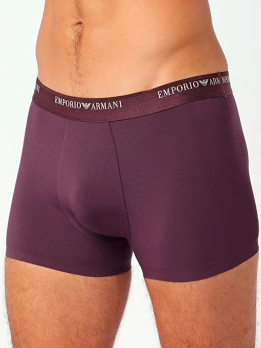 Нижнее белье Emporio Armani модель 111847-4F511-05093 Фото