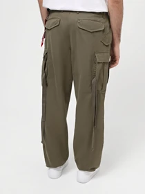 Брюки Alpha Industries модель MBM52500C1_359 Фото