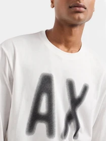 Худи и свитшоты Armani Exchange модель XM000126-AF10358-U0009 Фото