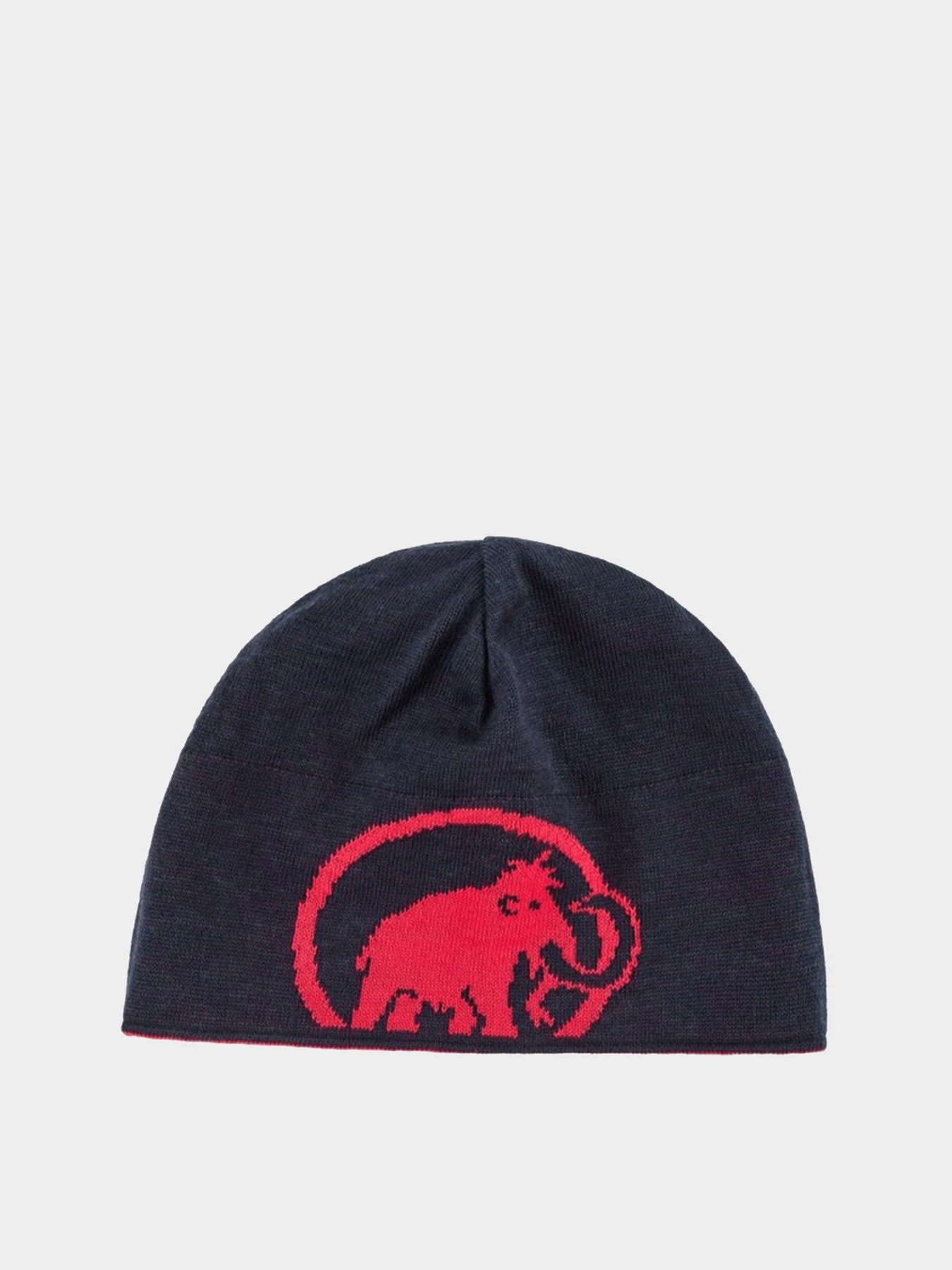 Шапки и кепки Mammut модель 1191-04891-3647 Шапки и кепки Mammut модель 1191-04891-3647 Фото