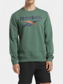 Худи и свитшоты Reebok модель 101943967 Фото