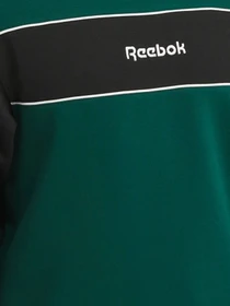 Худи и свитшоты Reebok модель 101943990 Фото