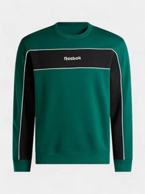 Худи и свитшоты Reebok модель 101943990 Фото