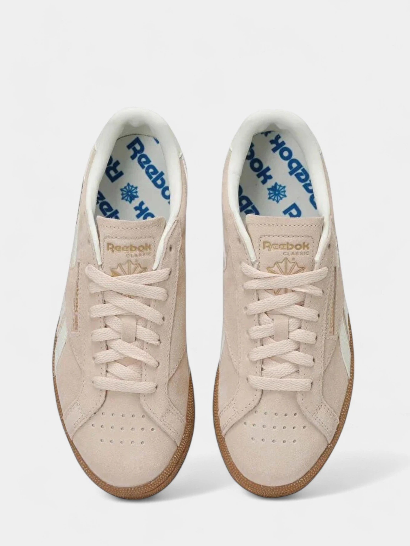 Кеды Reebok модель 101926529 Кеды Reebok модель 101926529 Фото