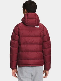 Куртки и дубленки The North Face модель NF0A5GIE1IX1 Фото