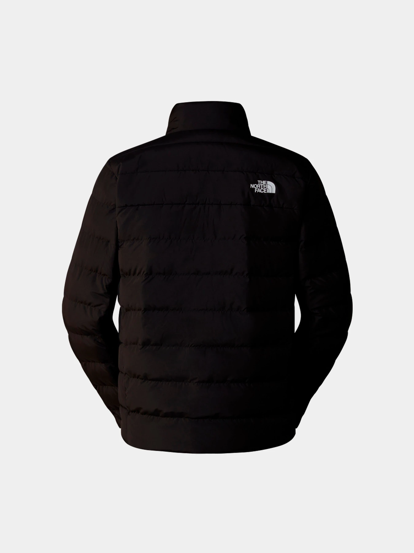 Куртки и дубленки The North Face модель NF0A84HZ4H01 Куртки и дубленки The North Face модель NF0A84HZ4H01 Фото