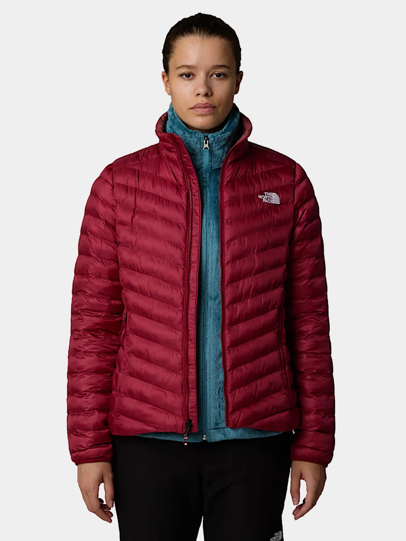 Куртки и дубленки The North Face модель NF0A85AG1IX1 Куртки и дубленки The North Face модель NF0A85AG1IX1 Фото