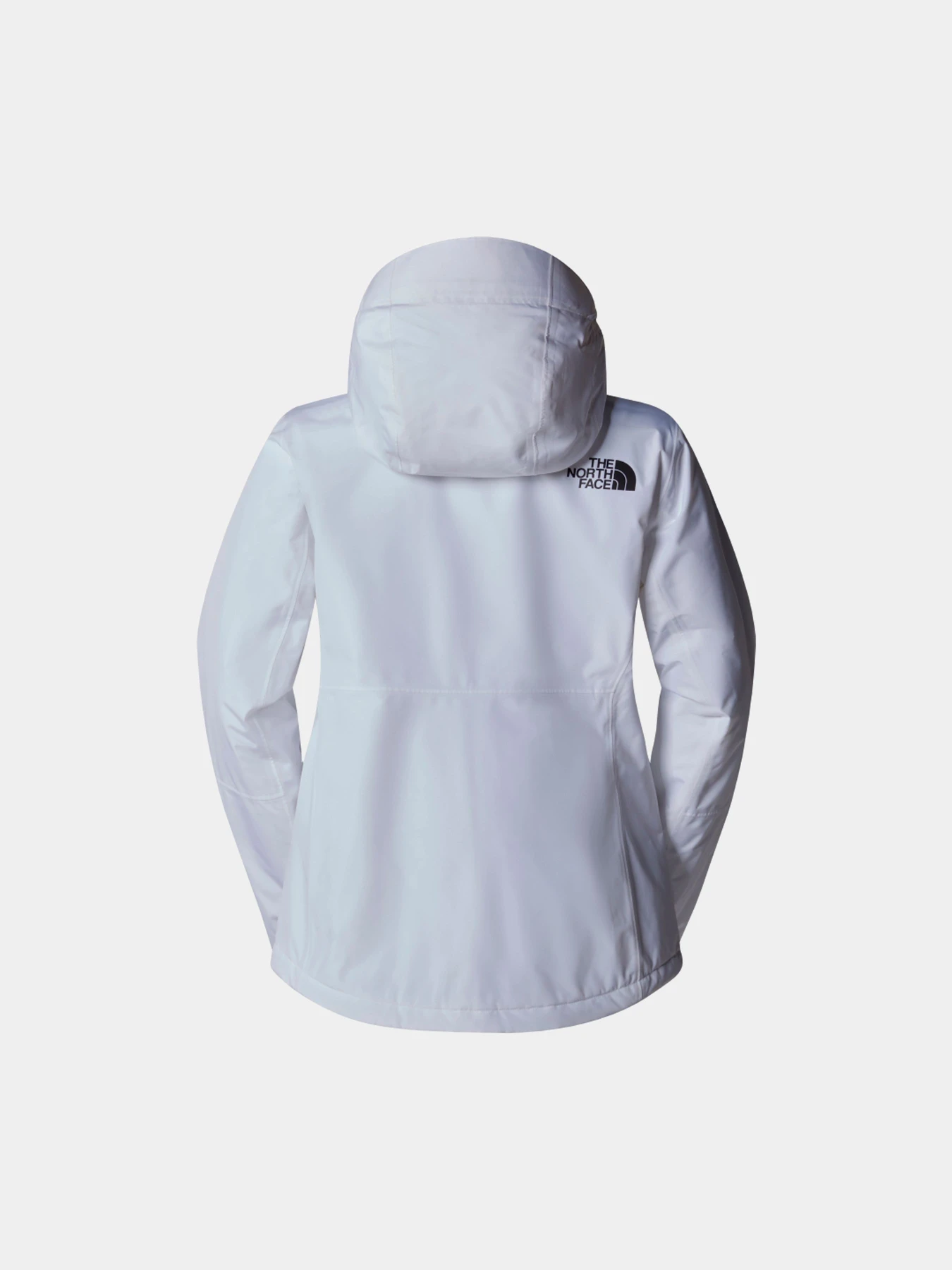 Куртки и дубленки The North Face модель NF0A87XFFN41 Куртки и дубленки The North Face модель NF0A87XFFN41 Фото