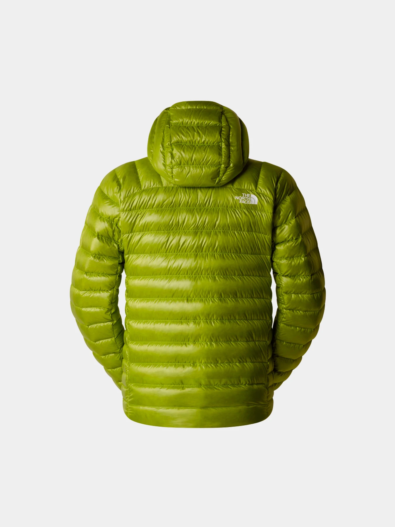 Куртки и дубленки The North Face модель NF0A87ZM1MO1 Куртки и дубленки The North Face модель NF0A87ZM1MO1 Фото