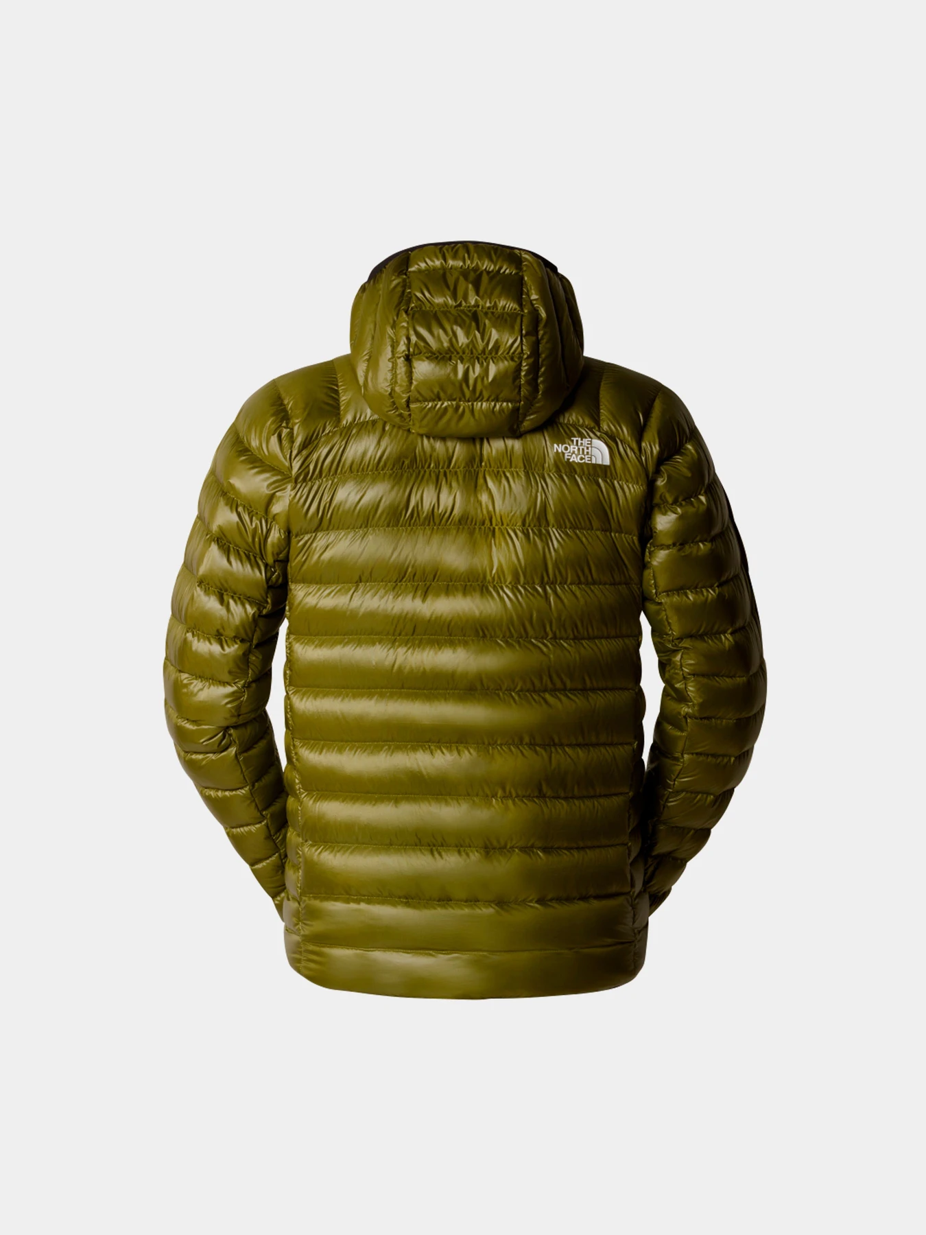 Куртки и дубленки The North Face модель NF0A87ZMPIB1 Куртки и дубленки The North Face модель NF0A87ZMPIB1 Фото