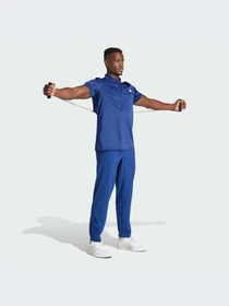 Брюки Adidas модель IU4606-KZ Фото