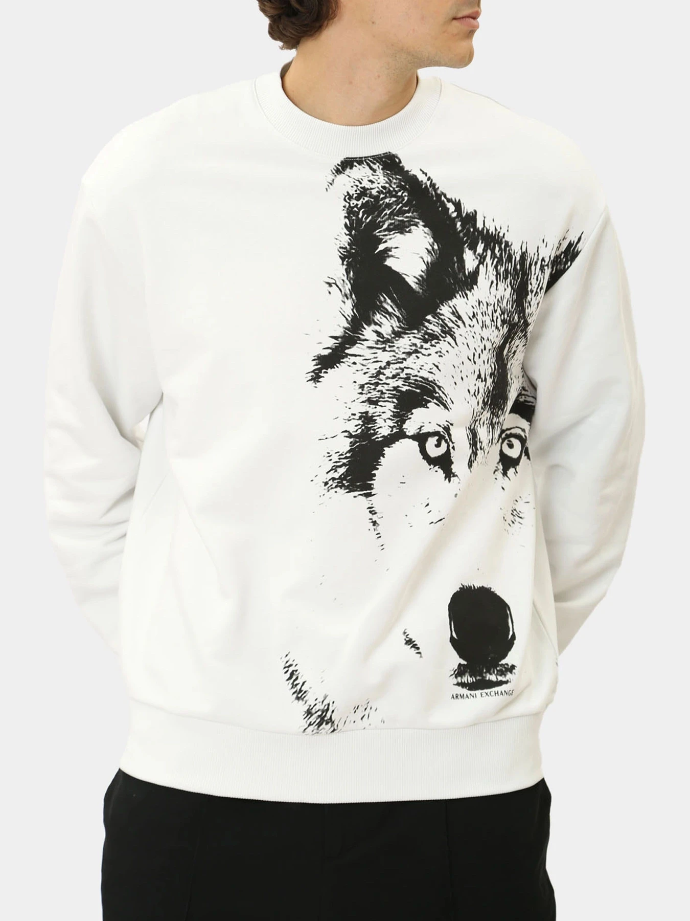 Худи и свитшоты Armani Exchange модель XM000042-AF10858-M0012 Худи и свитшоты Armani Exchange модель XM000042-AF10858-M0012 Фото