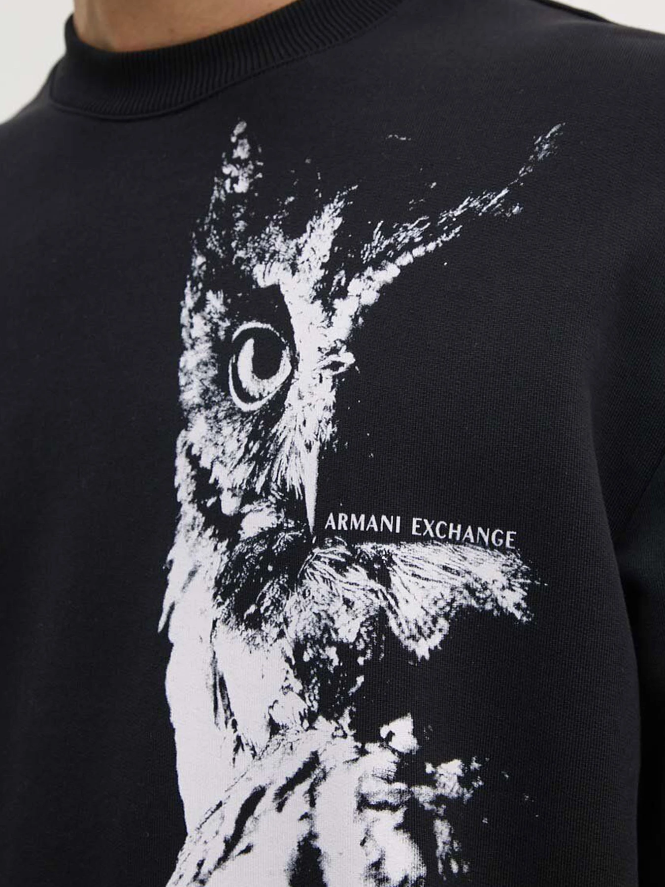 Худи и свитшоты Armani Exchange модель XM000042-AF10858-MC015 Худи и свитшоты Armani Exchange модель XM000042-AF10858-MC015 Фото