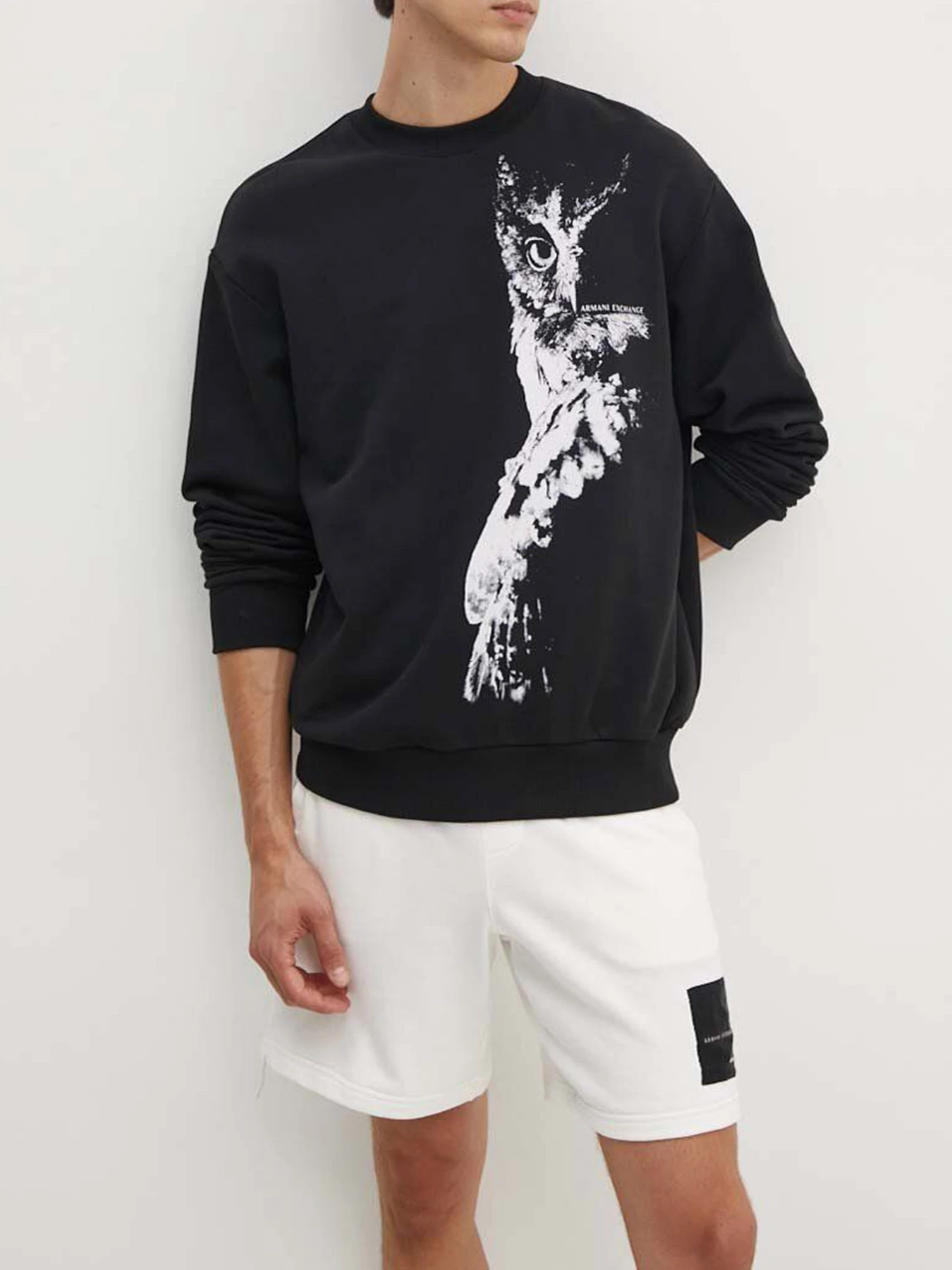 Худи и свитшоты Armani Exchange модель XM000042-AF10858-MC015 Худи и свитшоты Armani Exchange модель XM000042-AF10858-MC015 Фото