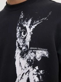 Худи и свитшоты Armani Exchange модель XM000042-AF10858-MC015 Фото