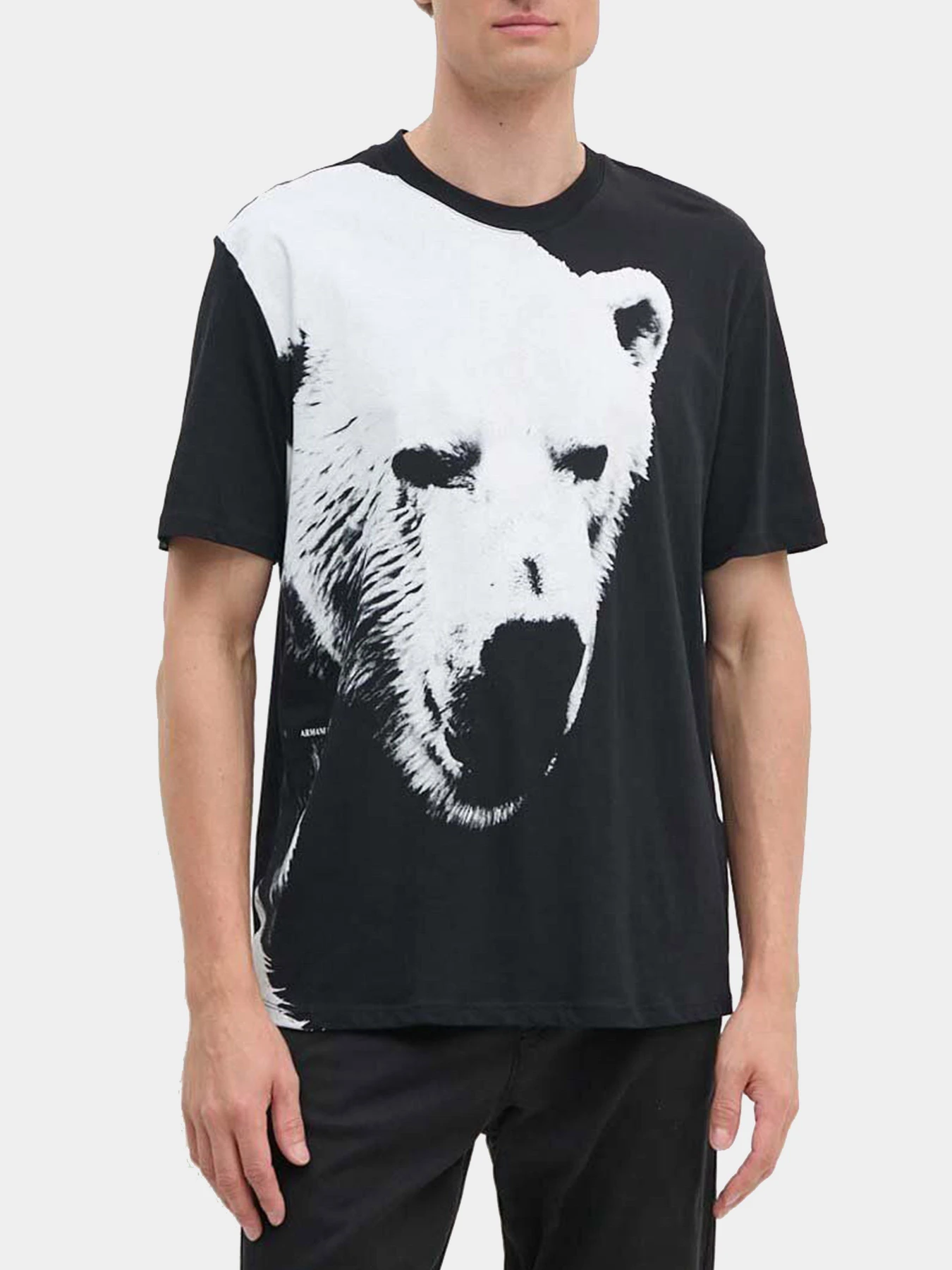 Футболки и поло Armani Exchange модель XM000043-AF10334-MC016 Футболки и поло Armani Exchange модель XM000043-AF10334-MC016 Фото