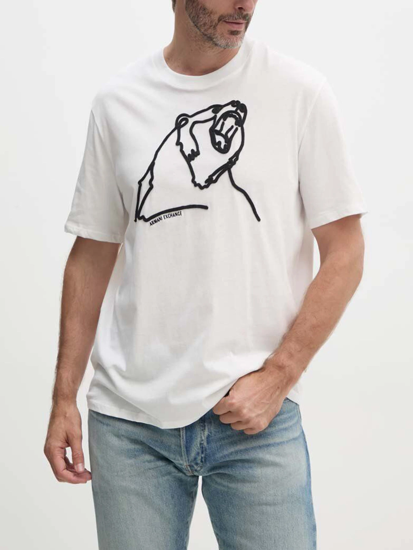 Футболки и поло Armani Exchange модель XM000044-AF10334-M0015 Футболки и поло Armani Exchange модель XM000044-AF10334-M0015 Фото