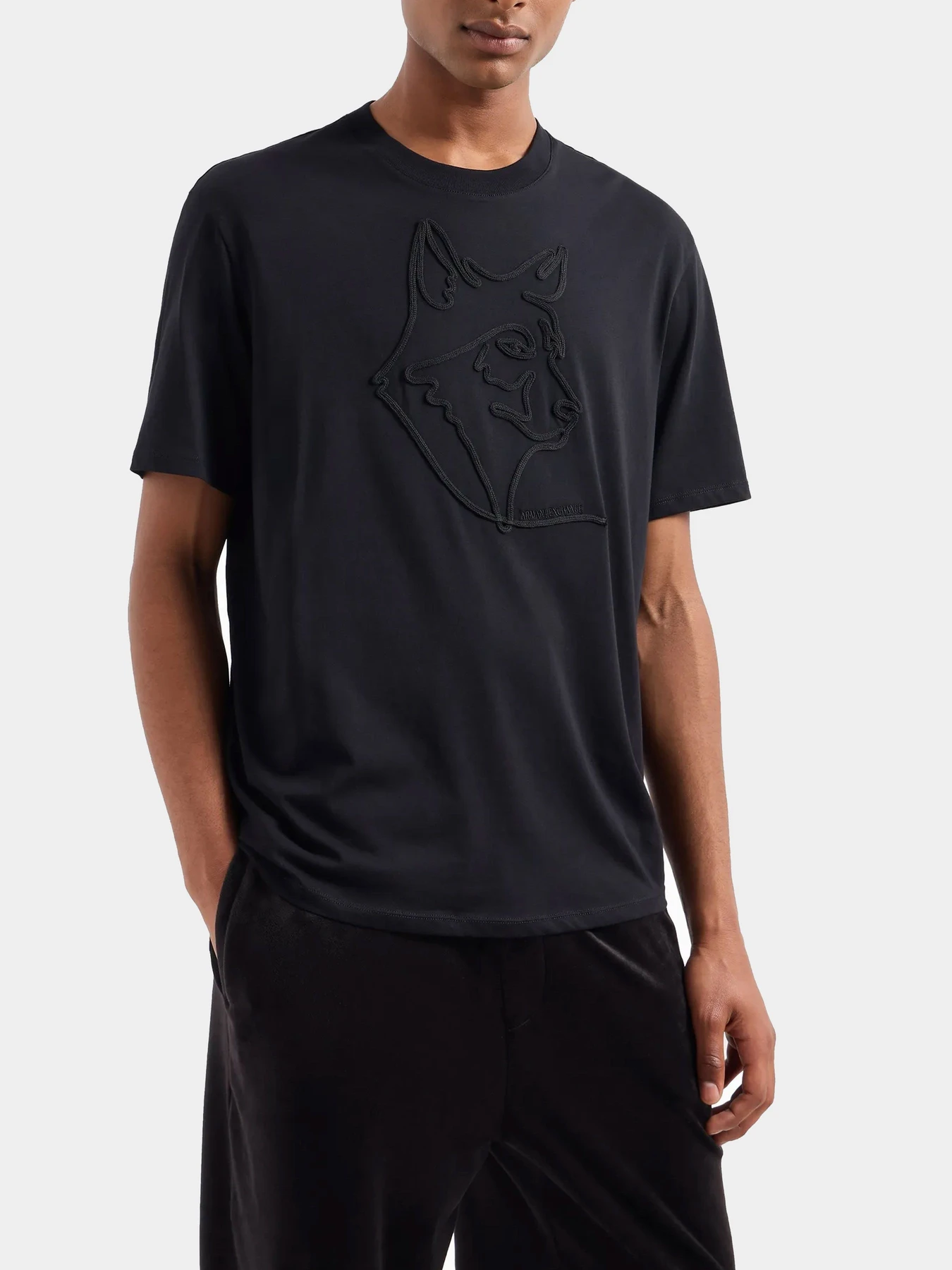 Футболки и поло Armani Exchange модель XM000044-AF10334-MC004 Футболки и поло Armani Exchange модель XM000044-AF10334-MC004 Фото