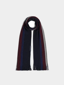 Шарфы и платки Tommy Hilfiger модель AM0AM12833-DW6 Фото