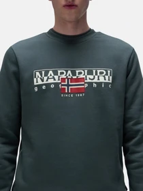 Худи и свитшоты Napapijri модель NP0A4I1FG1S1 Фото