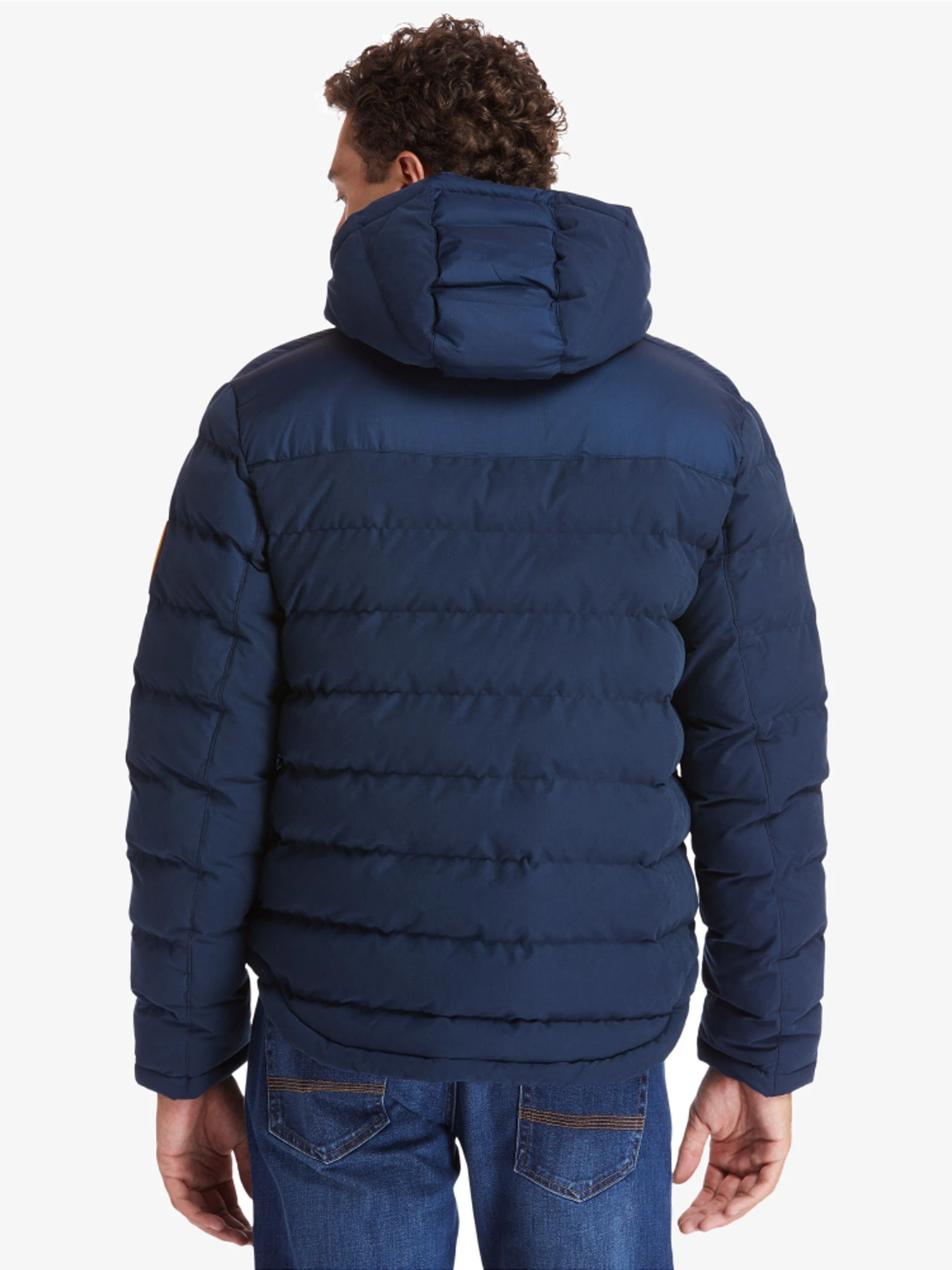 Куртки и дубленки Timberland модель TB0A29PQ433 Куртки и дубленки Timberland модель TB0A29PQ433 Фото